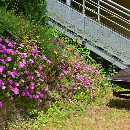 招待所 Et Table D'hotes Du Calvaire 3*